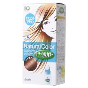 プロスタイル ナチュラルカラー ナチュラルブラウン62g+62ml 【6セット】