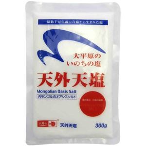 天外天塩 300g 【11セット】