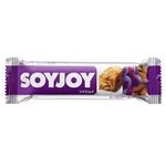 SOYJOY(ソイジョイ) レーズンアーモンド 30g 【27セット】