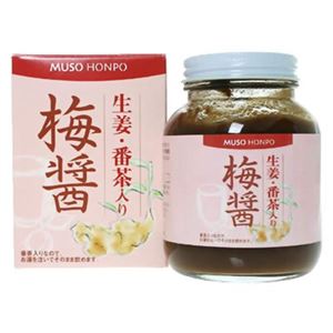 梅醤 生姜・番茶入り 250g 【2セット】