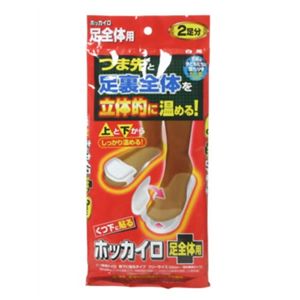 くつ下に貼るホッカイロ 足全体用 2個入 【12セット】