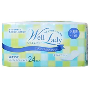 ウェルレディ エチケットケアライナー 少量用 24枚入 【10セット】