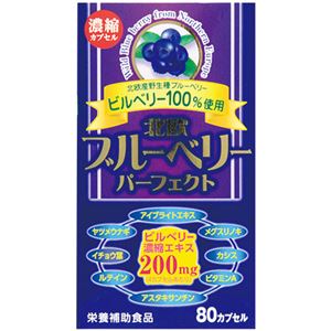 北欧 ブルーベリーパーフェクト 80カプセル 【2セット】