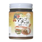 マンゴチャツネHOTペースト 450g 【4セット】