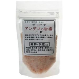 ボリビア・アンデスの岩塩 小粒 100g 【8セット】