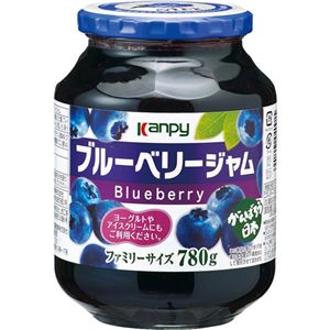 カンピー ブルーベリージャム 850g 【6セット】