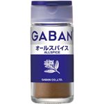 ギャバン オールスパイス 16g 【19セット】