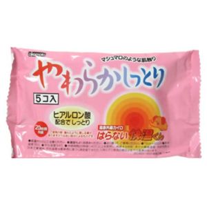 貼らない快温くんやわらかしっとり5個 【11セット】