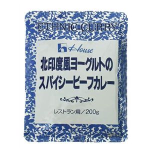 ハウス 北印度風ヨーグルトのスパイシービーフカレー 200g 【10セット】