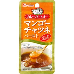 カレーパートナー マンゴーチャツネペースト 40g 【42セット】