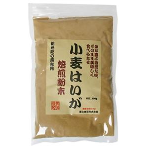 小麦はいが 焙煎粉末 300g 【3セット】