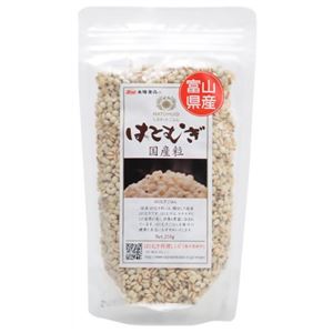 国産 はとむぎ粒 250g 【4セット】