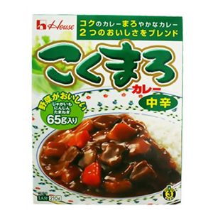 こくまろカレー レトルト 中辛 210g 【22セット】