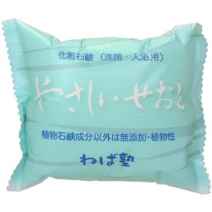 ねば塾 やさしいせおと 100g 【10セット】