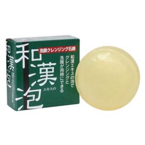 和漢エキスの泡 80g 【2セット】