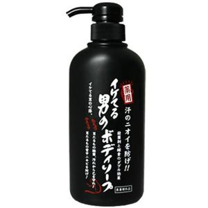 イケてる男のボディソープ 500ml 【2セット】