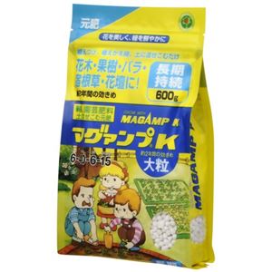 マグァンプK 大粒 600g