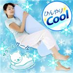 お得なＥｃｏ＆Ｃｏｏｌ（エコアンドクール）３点セット 【3個セット】