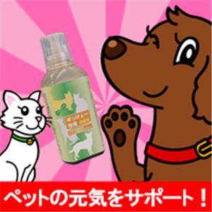 ぼっけぇー牧場ミニ 【6セット】