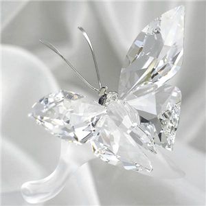 Swarovski (XtXL[) 182920 tƒ tBMA