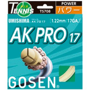 GOSEN（ゴーセン） ウミシマ AKプロ17 TS708NA