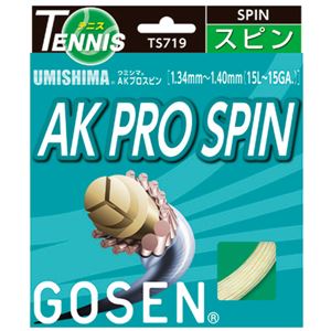 GOSEN（ゴーセン） ウミシマ AKプロスピン TS719NA