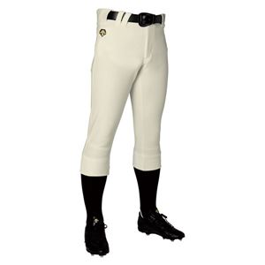 デサント（DESCENTE） ユニフィットパンツ レギュラーフィットパンツ （野球） DB1019P Sアイボ M