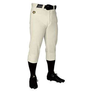 デサント（DESCENTE） ジュニアユニフィットパンツ レギュラーパンツ （野球） JDB1010P Sアイボ 140