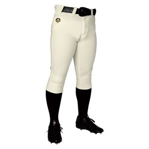 デサント（DESCENTE） ジュニアユニフィットパンツ ショートフィットパンツ （野球） JDB1014P Sアイボ 150