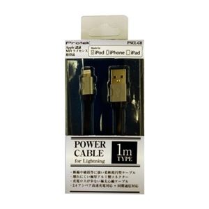 （まとめ）PROTEK パワーケーブル ライトニング1m グレー PNCL-GR【×3セット】