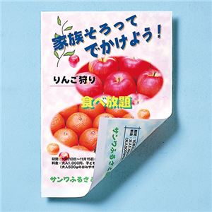 （まとめ）サンワサプライ インクジェット用両面印刷紙・厚手 JP-ERV5NB5【×10セット】