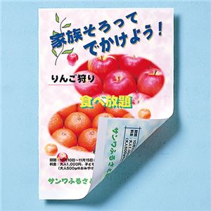 （まとめ）サンワサプライ インクジェット用両面印刷紙・厚手（大容量） JP-ERV5NA4-100【×2セット】