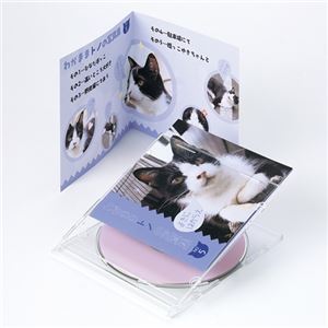 （まとめ）サンワサプライ インクジェットCD・DVDケースカード（見開き・つやなしマット） JP-IND2N【×5セット】