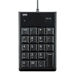 （まとめ）サンワサプライ USBテンキー NT-16UBKN【×2セット】