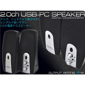 USBdobXs[J[ SPK002摜2XV