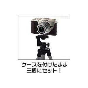 yJP[XzOLYMPUSiIpXjPEN E-P3Y[YΉ Xgbvt ubN摜2XV