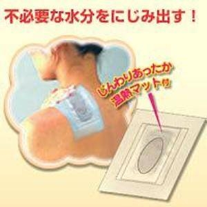 いきいき樹液シート専用温熱マット付き12P 2個セット