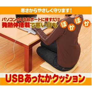 USBあったかクッション