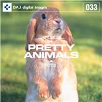 写真素材 DAJ033 PRETTY ANIMALS 【かわいい動物たち】