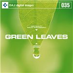 写真素材 DAJ035 GREEN LEAVES 【フレッシュな新緑イメージ】