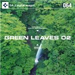 写真素材 DAJ064 GREEN LEAVES 02 【フレッシュな新緑イメージ 02】