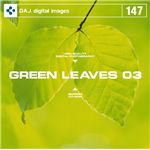 写真素材 DAJ147 GREEN LEAVES 03 【フレッシュな新緑イメージ 03】