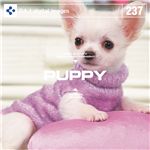 写真素材 DAJ237 PUPPY 【パピー】