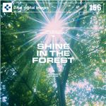 写真素材 DAJ156 SHINE IN THE FOREST 【木洩れ日】