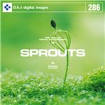 写真素材 DAJ286 SPROUTS 【新芽】