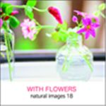 写真素材 naturalimages Vol.18 WITH FLOWERS