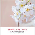 写真素材 naturalimages Vol.86 SPRING HAS COME