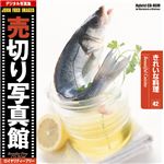 写真素材 売切り写真館 JFI Vol.042 きれいな料理 Beautiful Cuisine