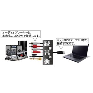 AREAiGAAj VI^p SD-USB2AUDIO摜2XV