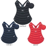 MIZUNO（ミズノ） 少年軟式用 キャッチャープロテクター 2YA-609-610 ブラック(09) SS